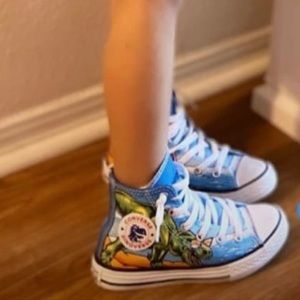 Converse Chuck Taylor All Star Dinoverse High Top.